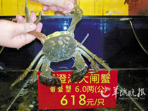 ���κ���Ⱦ���ز���з����բз�᳤�ɵֹ��ݱ�ҥ