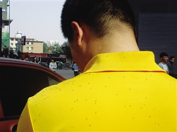 ���ͺ��������ɳ桰��Ϯ��ר�ҳƶ���������޺�