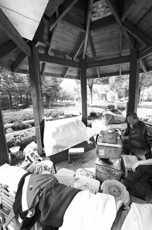 ������ͤ�����ҡ�5��ֵ������Ա��û�취��ͼ��