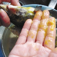 �������12����9����ɫר�ҳƻ����˹�ɫ���й�