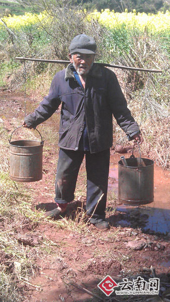 ����83�����˵��ɿ�С����ˮ�ȣ�ͼ��