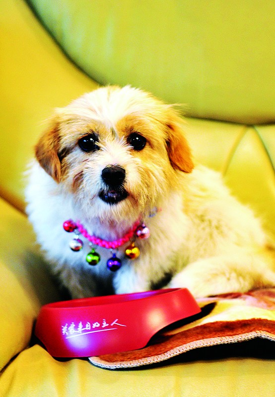 С��׷¿��1700���︰�����������˻ؼҸ������