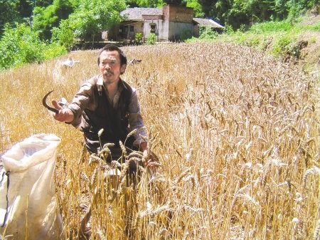 ũ�����¹�˫�ȸ�λ��֫10������������ˮ����