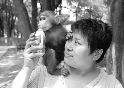 �������������챻��������԰Ϊ��ȫ�������顱