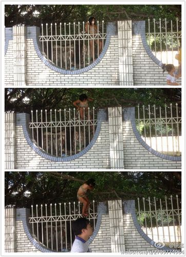 福州现"女版人猿泰山" 仅穿内衣翻墙爬树(图)