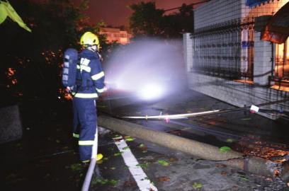 Ĵ2000Ȼйɽ廬ҶϹܵ