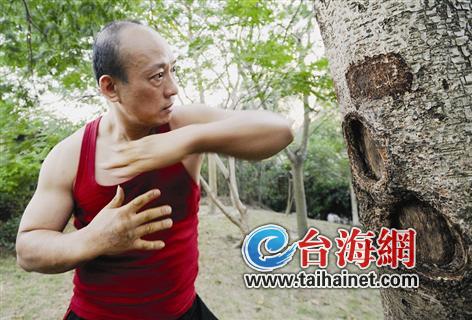 "高人"植物园里习武 树每天要挨1200拳(图)