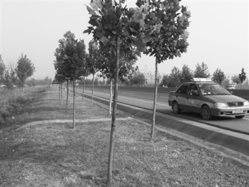 ɽ�����ƴ��ģ��������������͹��⽫������