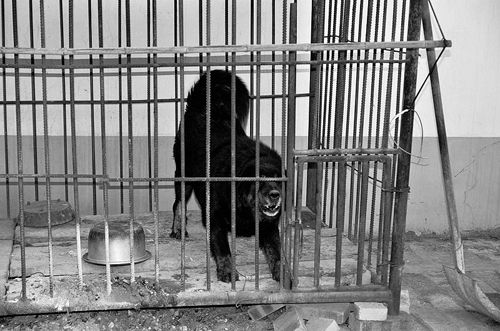 ��������ҧס4���к���Ѯ�Ϸ򸾹��ھ��ˣ�ͼ��