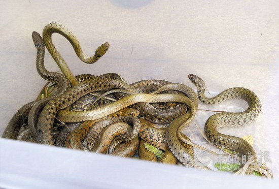 Ⱥ���ֹ��ݴ�ѧ��������������£�ͼ��