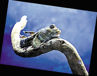 �㶫����13����Ե������ж���������Σ��