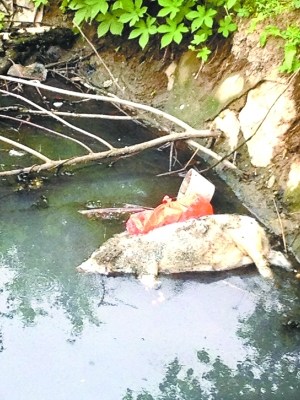 �����������ˮ�ᡱ�ѳ�ϰ�߼��ȱλ������������