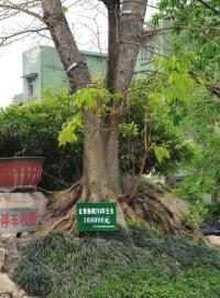 �ڽ���200����������16���Ӧ��ֻ�����ͣ�ͼ��