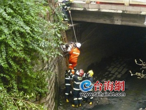 ������ĸ��ҪǮ����������ϲ�������7���