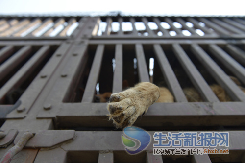 ���ϰ���־Ը�߾ȹ�˫�����ֹٷ�δ���棨ͼ��