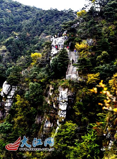 ��ý���߽����ϴ������