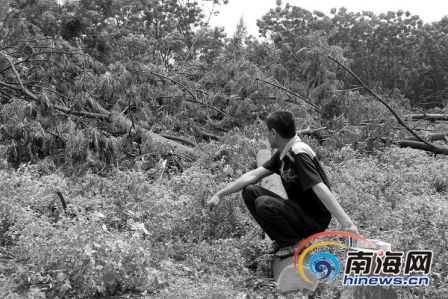 ��ׯǧ����ľ��ҹ������ɲ���ϵ�������п���