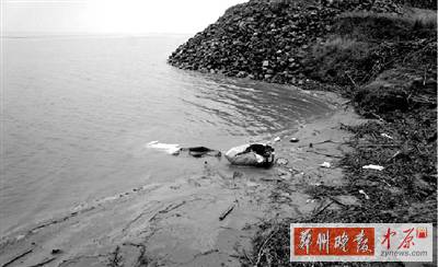 司机撞飞男孩返回现场将其装编织袋抛进黄河(图)