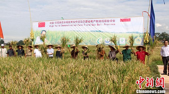 ��ӡ��ũҵ������Ŀ�ӽ�ˮ���߲�����ʾ���ɹ�ʵʩ