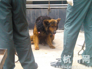 �ڱ����ػ�������·�����˹�������¶�棨ͼ��