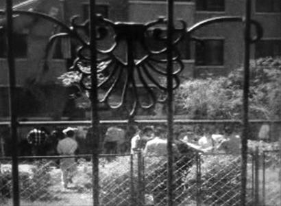 �Ʒ���ȺŹ6Ѯ���������߱������ָ��Ϊ�ǹ�