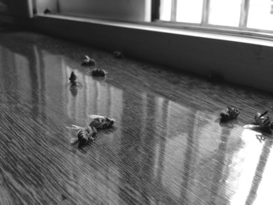 ���Ӽ��д��������۷���س�·����ϣ�ͼ��