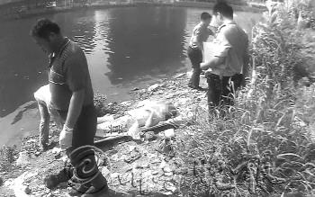 ����ʬ�����������߿հ׼���һ�ɳ���Ƿ��18��