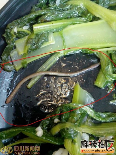 ��͵극����10���׳�������ѣ�������ã���ͼ��