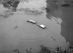 �������ӵ������˲�������ʮͷ�߶ȸ���������ͼ��