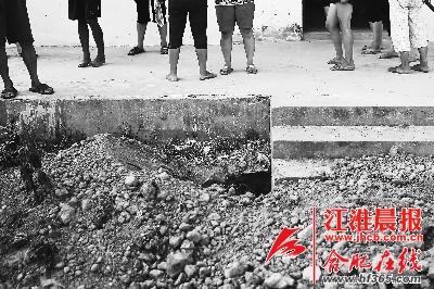 獾子屋内打洞同住主人“抵抗”三年弃屋走人(图)