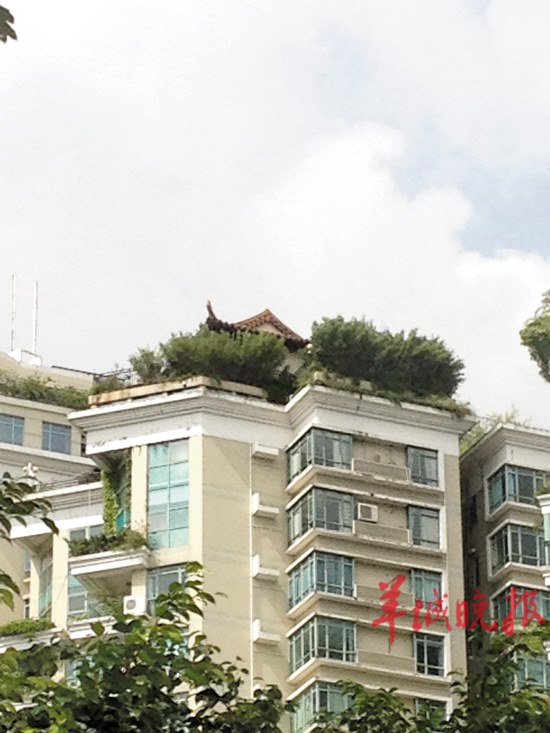 深圳豪宅楼顶建空中庙宇主人常做法事香灰不断