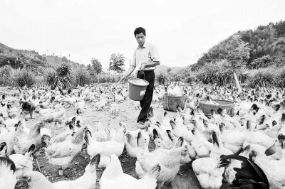 ������ˮ��������̬��������1000ö��������ͼ��