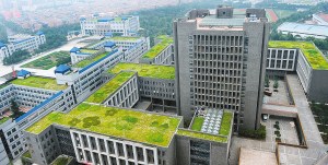 西安树旁绿地倒垃圾最高拟罚3000元(图)