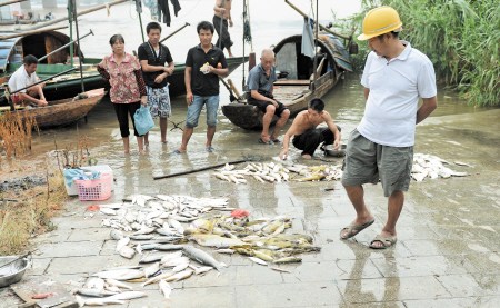 �潭����ִ�����ͷ��ר�����ѣ���ñ�ԣ�ͼ��