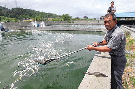 ����ˮ�����ζϵ�����β����һҹ�両ʬ��ֳ��