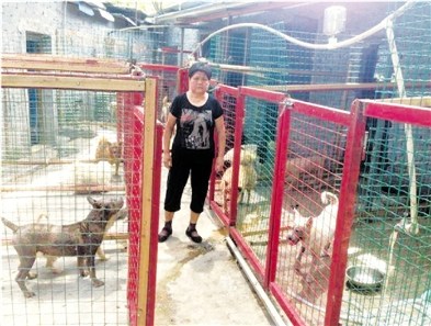 女子18年收养百只流浪狗每天拎水70桶给狗洗澡