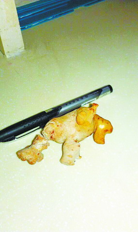 �����������ʯͷ������������ͬ¹�ǣ�ͼ��