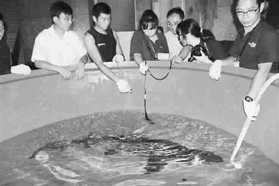 4������ɳ����ս��Ϻ�����ˮ��ݣ�ͼ��