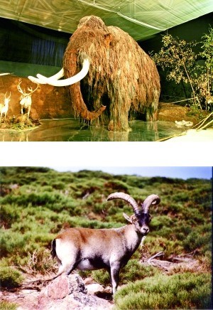 �������ɽ��¡���������ֵ�����������