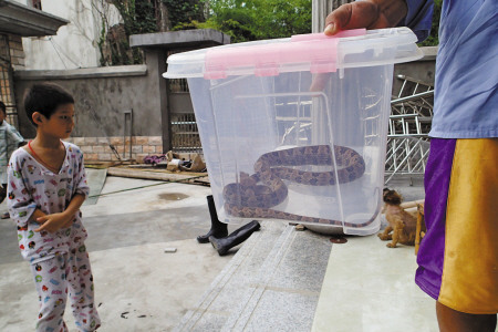 ��լ��ץ���ߡ�����ͷ������ѡ��ɽ�������ͼ��