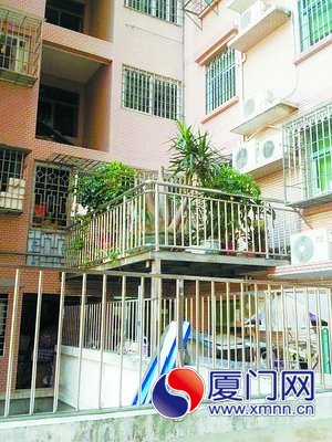 ����һС��Υ�������л�԰����ǽ������ͼ��