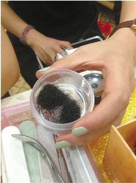 Ů���ֽ�ë˫�ۺ���֪���˳��ֵĻ�����ë��ë