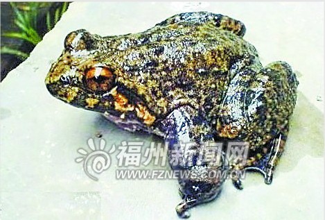 ����������ֳ������֮��������������������У�ͼ��