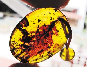 ������۸���������300Ԫ�ǵ�6��ͼ��