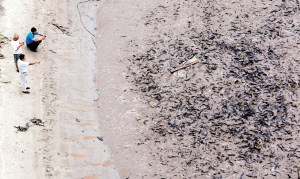 ����������������ɴ����������㡱������ͼ��