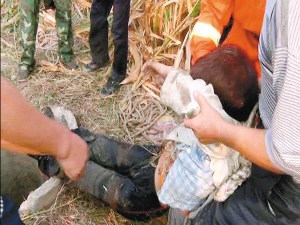 Ů��׹��15������������þ�Ԯ������������ͼ��