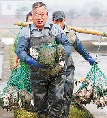 �����㽭�����г��ҵ�������ֳ�¼۸��ͽ�