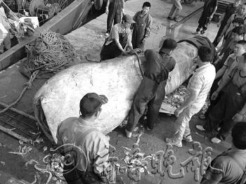 ����۸�7����6�ɶ�Ƿ�����ֻ�������ܻر�