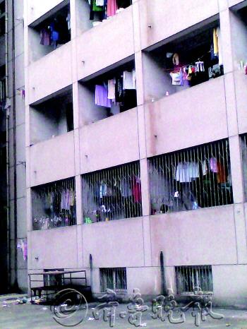 济南零星出现臭虫防治得当可很快消灭(图)