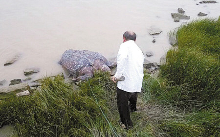 ����������������Ƥ���ش�200�๫�ͼ��